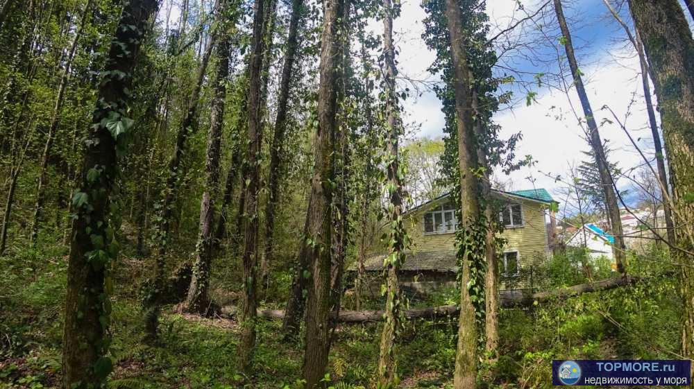 Продается в экологически чистом районе земельный участок в СНТ ' Груша', 8 соток, участок расположен рядом с лесом....