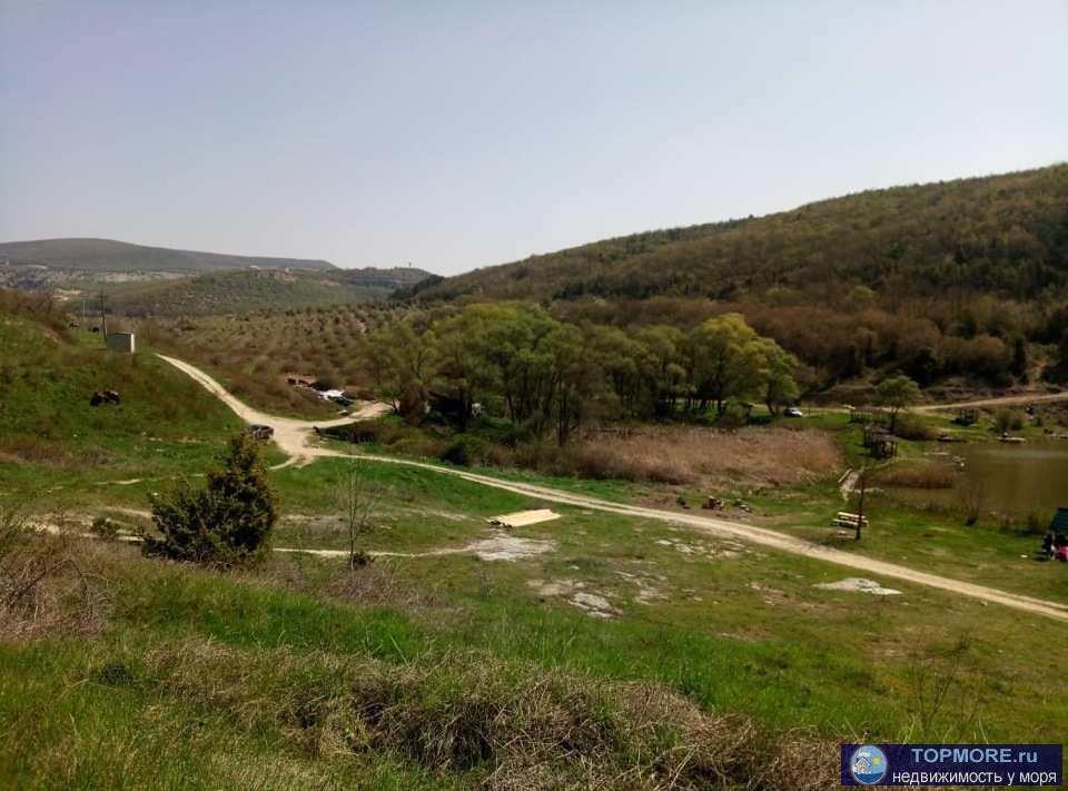 Предлагается к продаже действующее хозяйство в окрестностях Севастополя в излюбленном месте отдыха горожан. 14,6 Га...