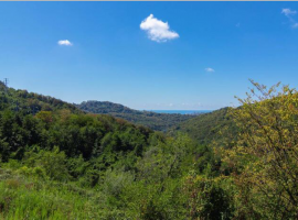 Дом в Адлерском р-не, поселок Молдовка ул Тимашевская.Дом с видом...