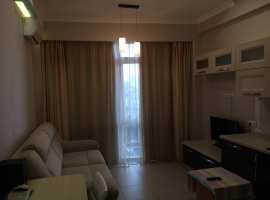 Однокомнатная квартира, расположенная в «Золотом Колосе» -...