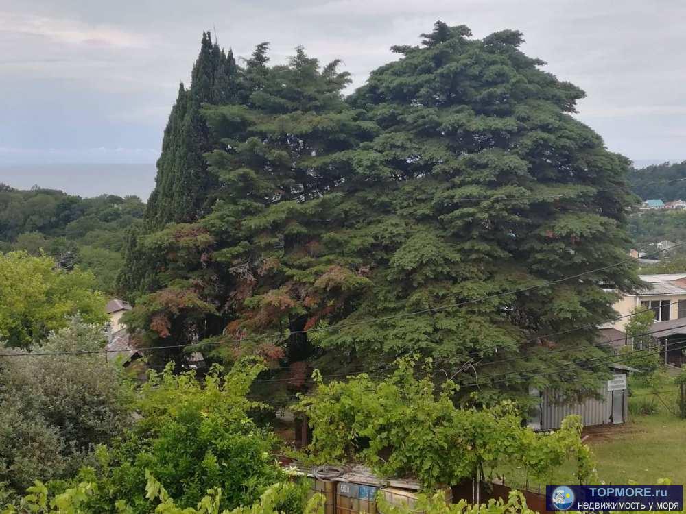 Дом в 15 минутах от моря. Асфальт, детская площадка, парк. Остановка, супермаркет рядом.Цокольный этаж- кательная,... - 1