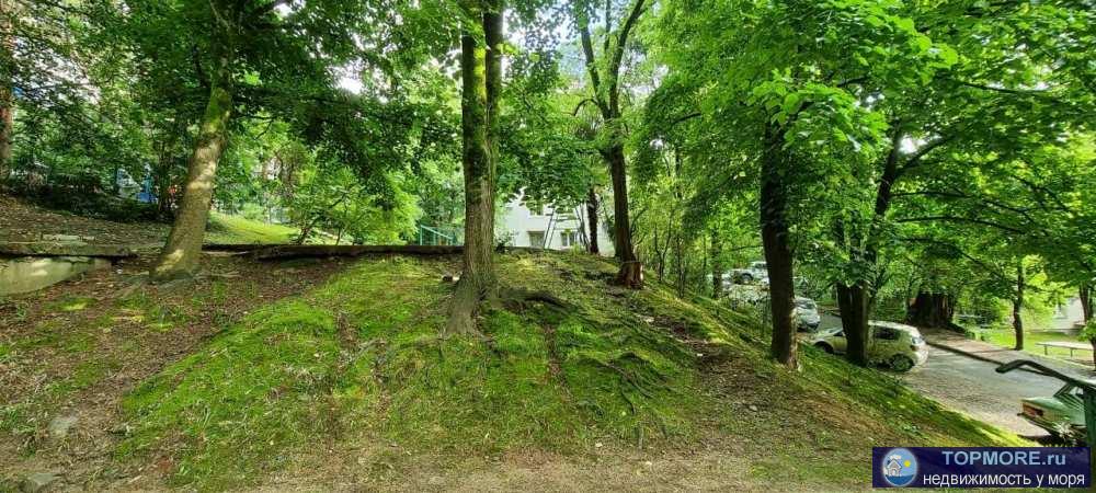 Лот № 143718. В продаже отличная 3-комнатная квартира в Сочи, в самом центре города, в тихом, спальном районе. Общая... - 2