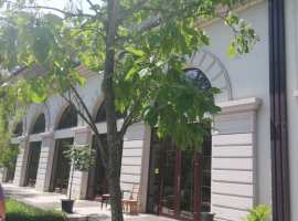 Продаю роскошные апартаменты 39,8 м2 в уютном, тихом ак «Лотос» с...