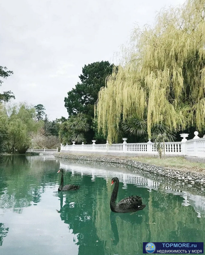 Лот № 151402. Продается апартаменты в доме - комфорт класса в пгт Сириус. Дом расположен в шаговой доступности от... - 2