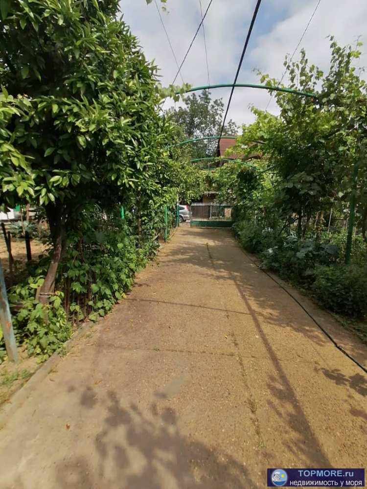 В продаже монолитный дом общей площадью 300 кв.м. на участке правильной формы площадью 6 соток. В доме 3 этажа -... - 1