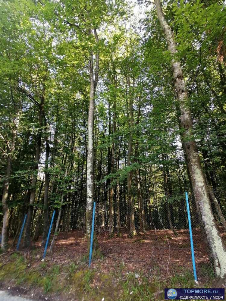 В продаже дом в тихом, спокойном месте с прекрасными видовыми характеристиками общей площадью 195 кв.м. Дом...