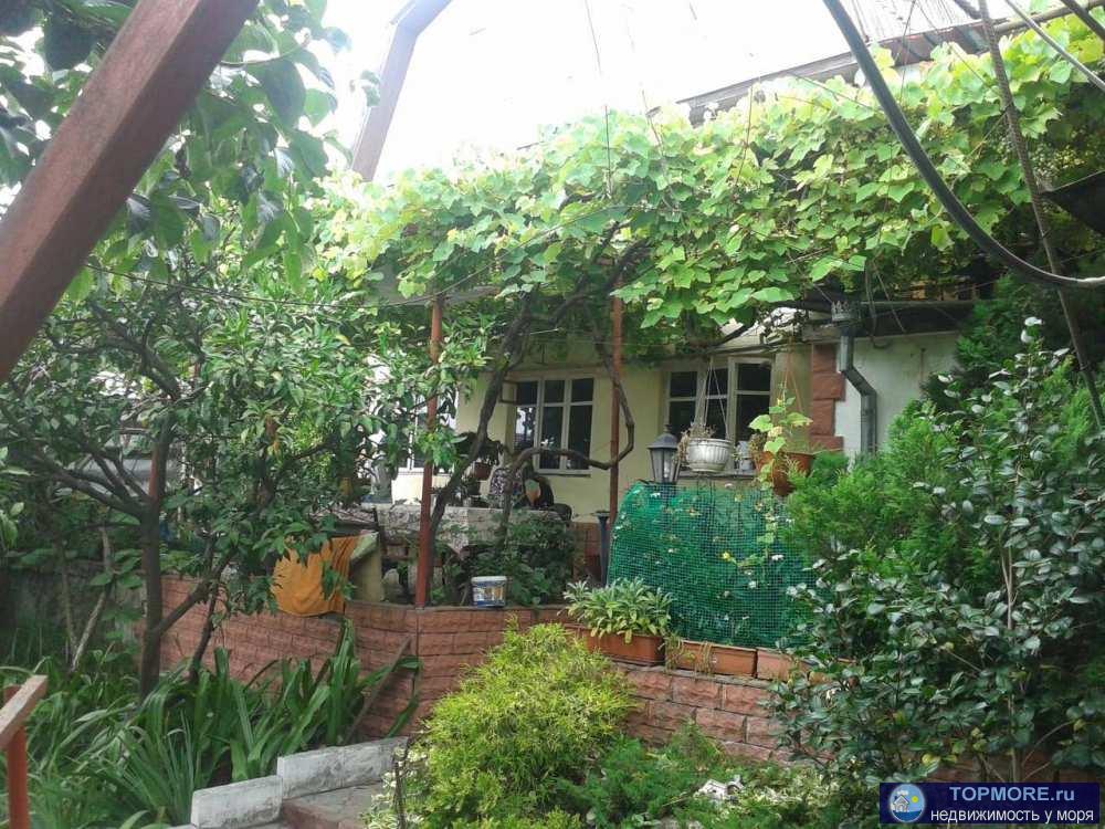 Отличный гостевой дом, с шикарным фруктовым садом (лимоны, мандарины,апельсины,фейхоа,киви,виноград, гранат,...