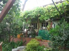 Отличный гостевой дом, с шикарным фруктовым садом (лимоны,...