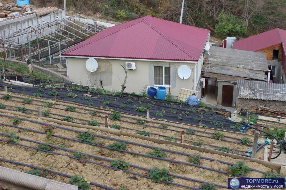 Срочно продам просторный двухэтажный дом с ремонтом и земельным участком 16,3 соток в Молдовке. Четыре спальни,... - 1