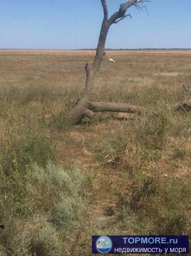 Продажа земельного участка с ветхим домом в Раздольненском районе, с.Огни ул.А Кима,12. Стоимость 800 000 руб.... - 2