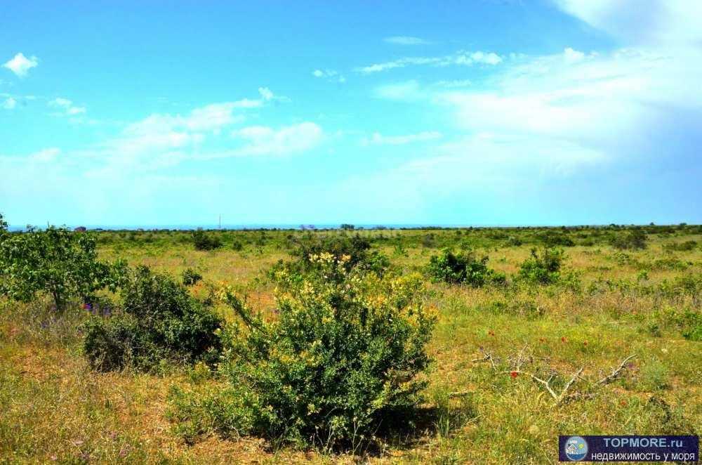 Продается участок 4 сот. СНТ Здоровье 89 Балаклавский район.(балка Бермана)Участок ровный, свет и вода по границе... - 2