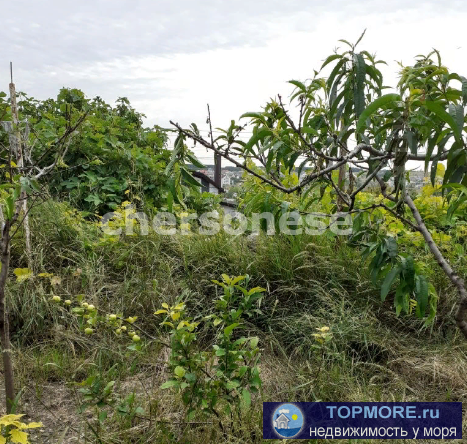 Продается земельный участок 4,77 сотки в районе ул. Шабалина.  Коммуникации: вода (скважина СТ), свет (3 фазы), к...