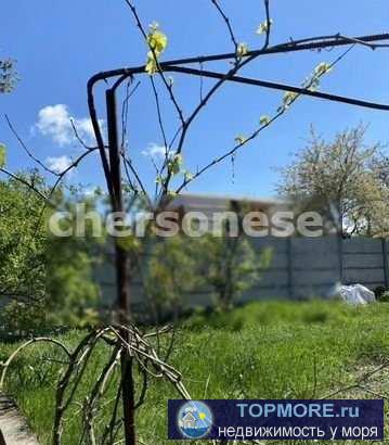 Продается участок 7.5 сот. СТ Сапун Гора Нахимовский район.На участке есть дом 30 кв.м. Дом жилой, введен в... - 1