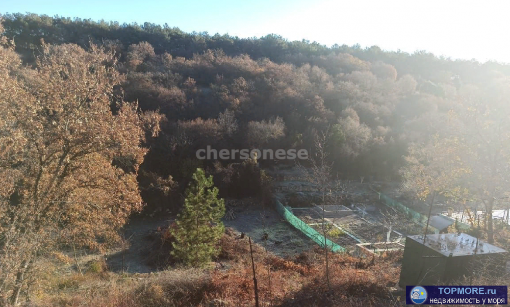 Продается участок 9 сот. СНТ Пожарник Нахимовский район.Участок  в одном из самых комфортных районов города,на склоне... - 1