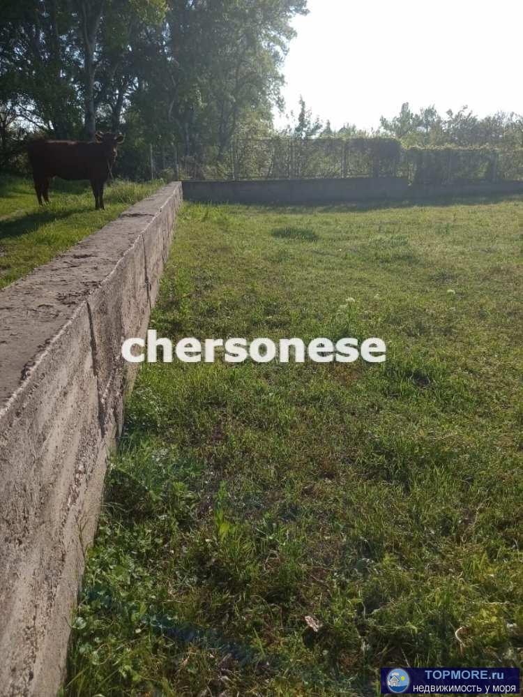 Продажа земельного участка возле реки  в селе Вишневое, участок размежеван на два 4 и 11 соток, участок ровный ,...