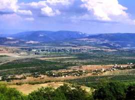 Предлагается к продаже земельный участок 8 соток ИЖС.

Ровный в...