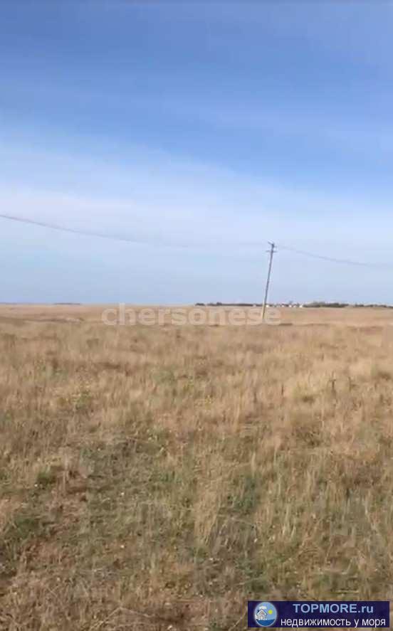 Продается участок в первой линии от моря в с. Осипенко, Северная сторона г. Севастополь.  Участок ровный, правильной... - 2