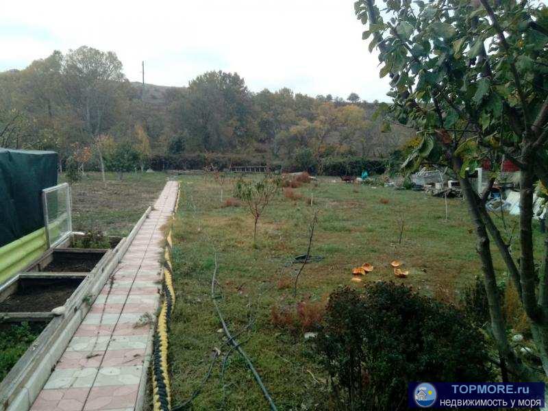 Продается видовой дом в с.Орловка. Дом находится на участке 25 соток , документы ИЖС , на участке есть все... - 1