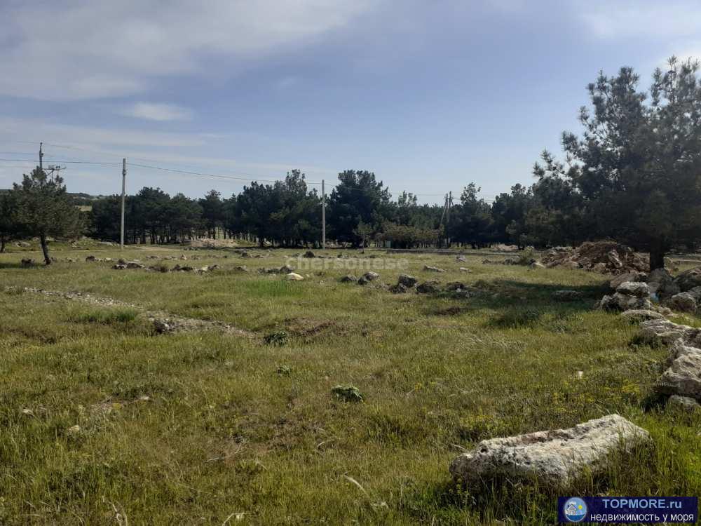 Продается участок 4 сотки в СНТ "Янтарь", Гагаринский район. Участок ровный, пустой, правильной формы....