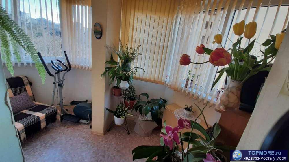 Продам большую однокомнатную уютную, готовую для проживания квартиру в Сочи! Квартира расположена в зеленой зоне... - 2