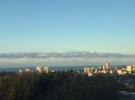 Лот № 160785. Продам студию площ. 35.8 кв. м на 3 этаже 8 этажного...