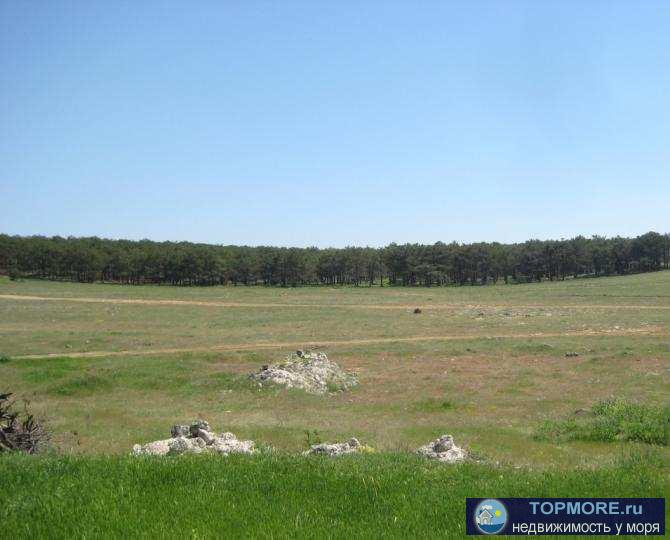 Участок 4 сот. в СНТ Клеры-3 в р-не Горбатого Моста на Фиоленте. Участок расположен на крайней улице кооператива, в... - 1