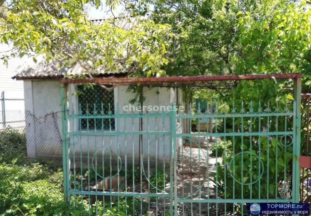 Продам земельный участок в Севастополе мыс Фиоленте СНТ Луч . Участок расположен возле базы отдыха... - 2