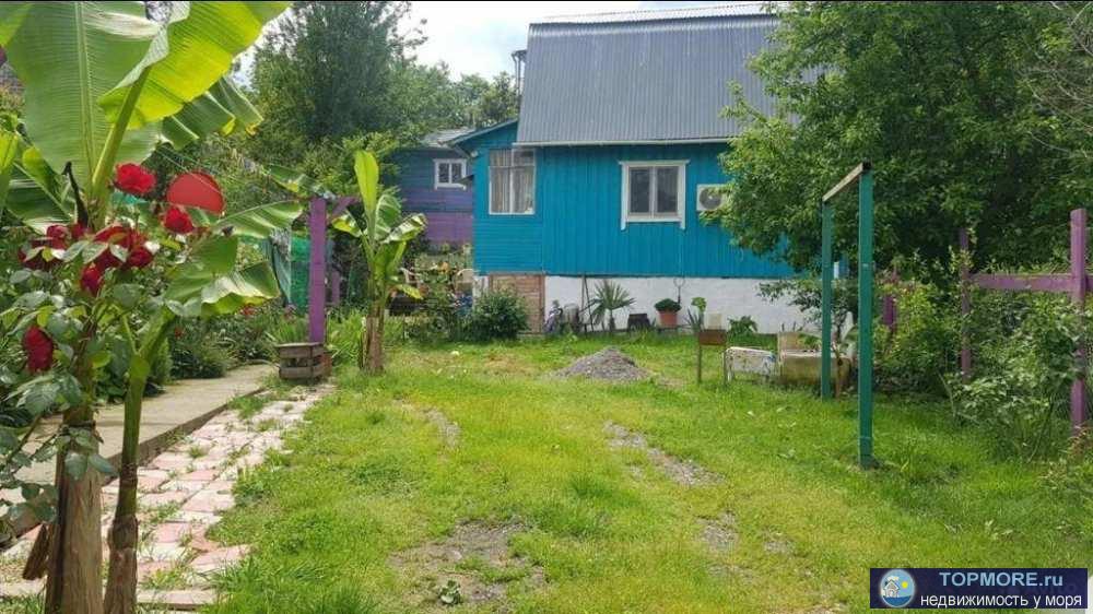 Продажа / Дома и коттеджи, Сочи, Бюроканская улица, 7 500 000 р. Продаю дом в тихом, экологически чистом, живописном районе. Дом 2 этажный, жилой деревянный каркасный дом. Всего 1 км...
