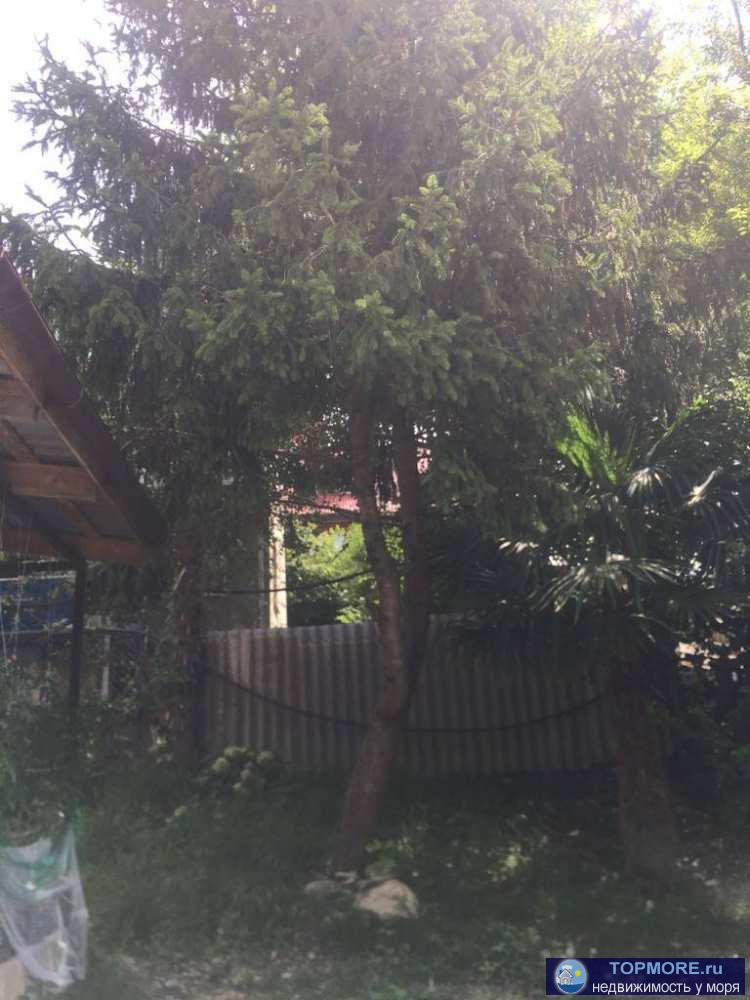 Продажа / Дома и коттеджи, Сочи, Верхняя улица, 6 750 000 р. Продается дом - Мамедова Щель Земля и дом в собственности.Прописка Сочи! Проведен ремонт дома.( внутри и... - 2