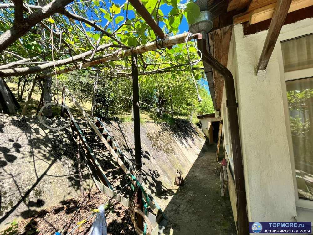 В селе Волковка продается одноэтажный дом блочного типа, к которому прилегает ещё и ухоженный сад. В доме есть вода,... - 1