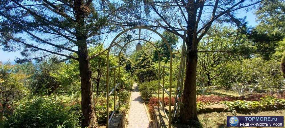 Красный штурмДом плoщадью 500м2. (По факту 700кв.) 3 этажа. Утопaет в зeлени cубтрoпичeскиx pacтeний, caд c плодовыми... - 1