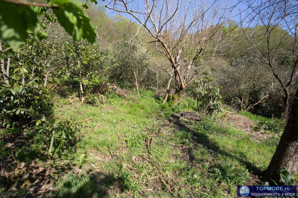 Лот № 156681. Продается жилой дом в Адлере, в тихом, зеленом районе Чайсовхоза. Общая площадь - 150 кв.м. Земельный... - 2