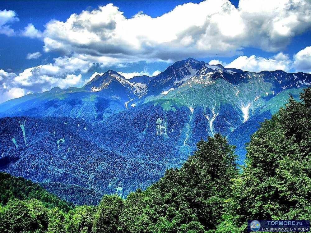 Лот № 164837. Продаются 2 однокомнатные квартиры в Дагомысе с возможностью объединения (находятся рядом).  Общая... - 1