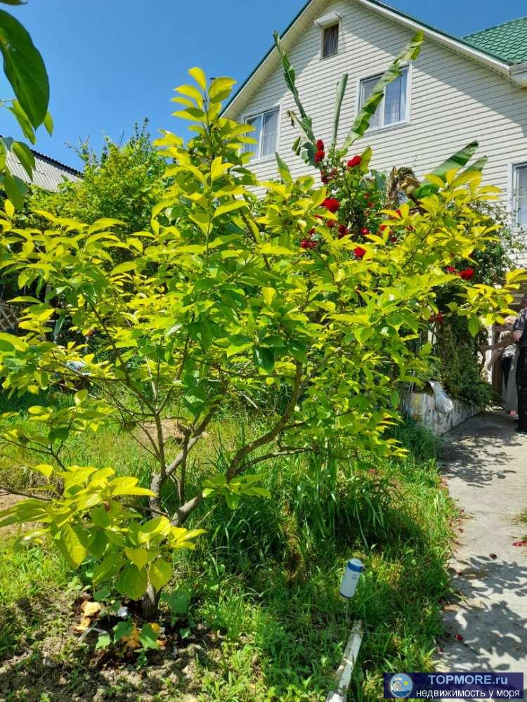 Лот № 170052. В продаже частный дом в самом живописном районе города Сочи!  Здесь есть всё, что необходимо для...