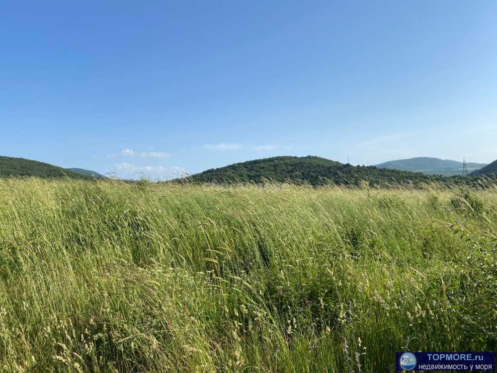 Предлагается к продаже видовой участок в Черноречье, Балаклавский район.  Потрясающий вид на горы и лес.... - 1