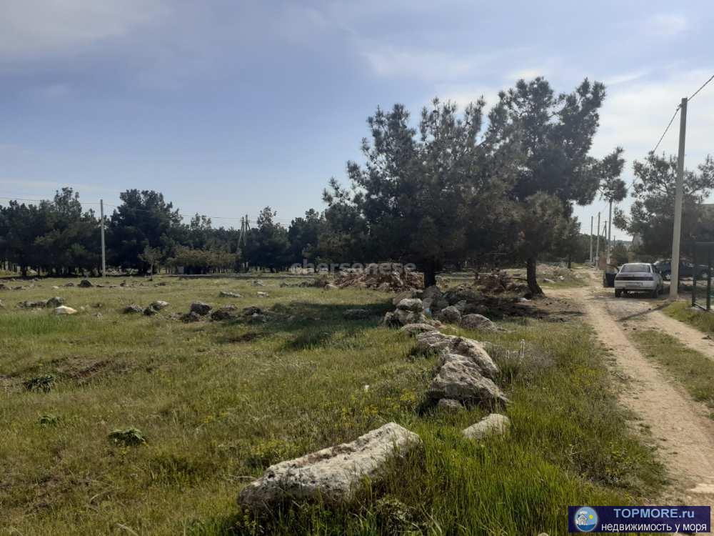 Продается участок 4 сотки в СНТ "Янтарь", Гагаринский район. Участок ровный, пустой, правильной формы.... - 2