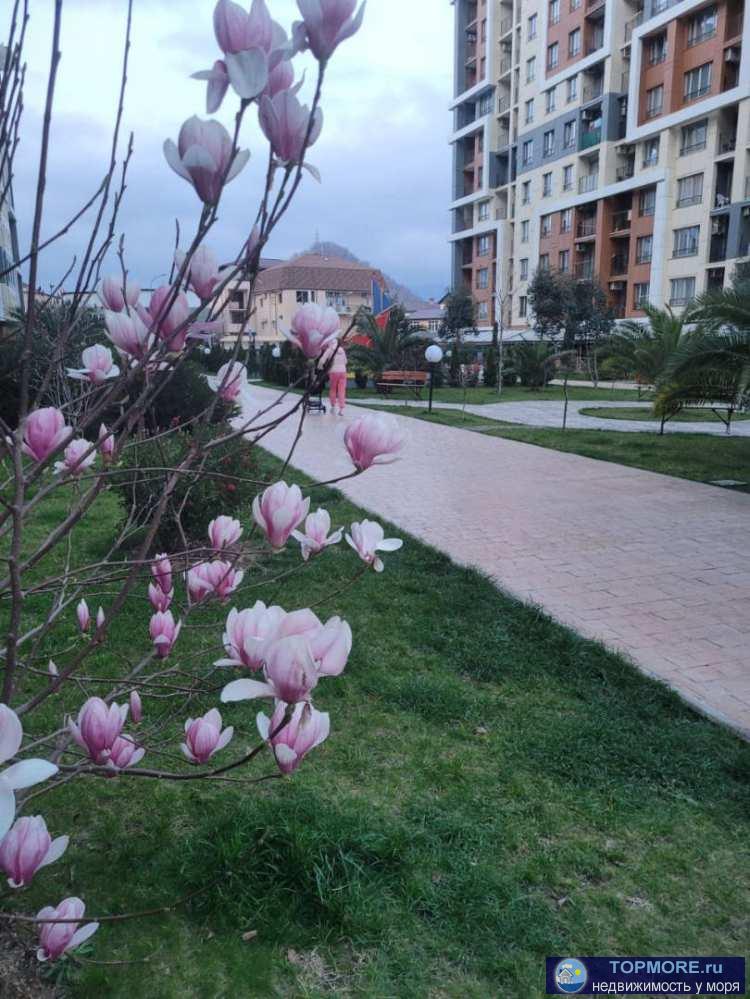 Лот № 176211.           жк Каравелла Португалия – расположен в уникальнейшем месте города Сочи, окруженным горами и... - 2