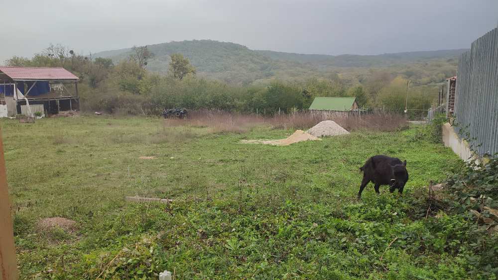 Продается земельный участок в Судакском районе Республики Крым  С. Грушевка. По жилой улице.  Подъездные пути –... - 2