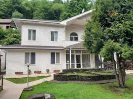 Лот № 178398. Продается дом с действующим бизнесом. Сам дом...