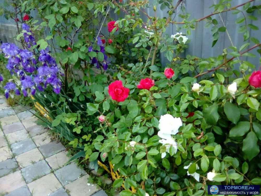 Лот № 177305.  Продаётся уникальный дом с гостевыми комнатами на Чёрном море! Общая площадь дома - 250 кв.м, с... - 1