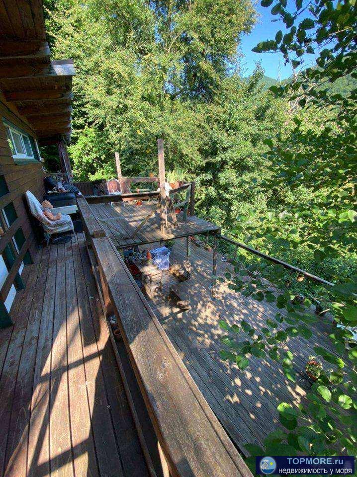 Лот № 175765. Продается уютный дом в живописном лесном горном месте в Сочи, Лазаревском районе. Дом расположен всего... - 1