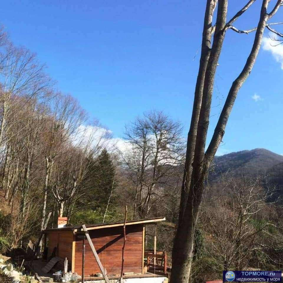 Лот № 175765. Продается уютный дом в живописном лесном горном месте в Сочи, Лазаревском районе. Дом расположен всего... - 2
