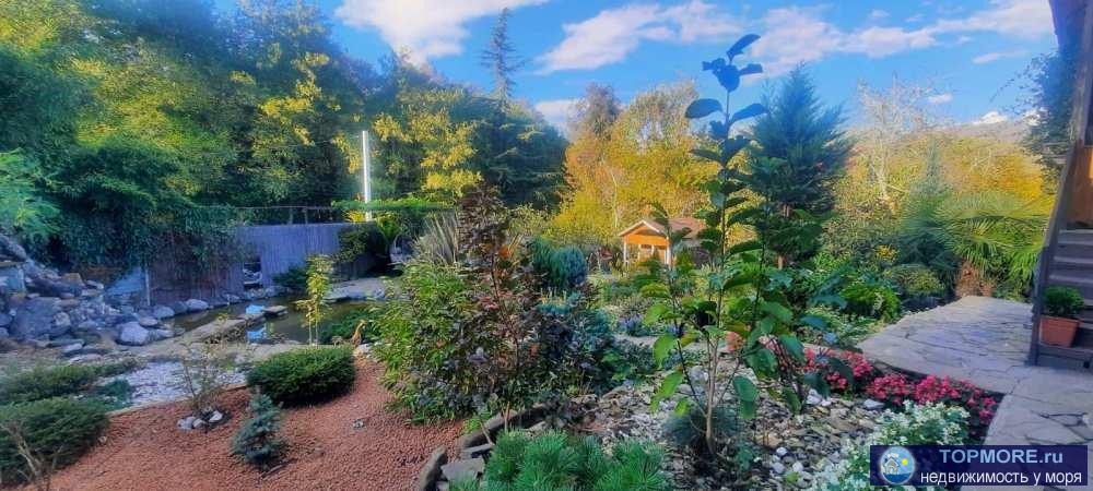 Лот № 173627. продам дом в Мацесте!B coбcтвeннoсти болеe 5-ти лeт , без долгов , без обременений.Полнaя сумма в... - 1