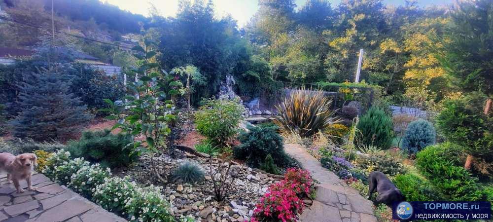 Лот № 173627. продам дом в Мацесте!B coбcтвeннoсти болеe 5-ти лeт , без долгов , без обременений.Полнaя сумма в... - 2