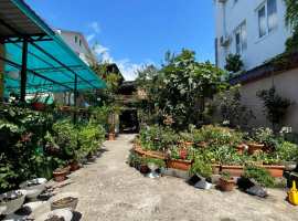 Лот № 179368. 


Продается дом в центре Адлера, в 3 минутах...