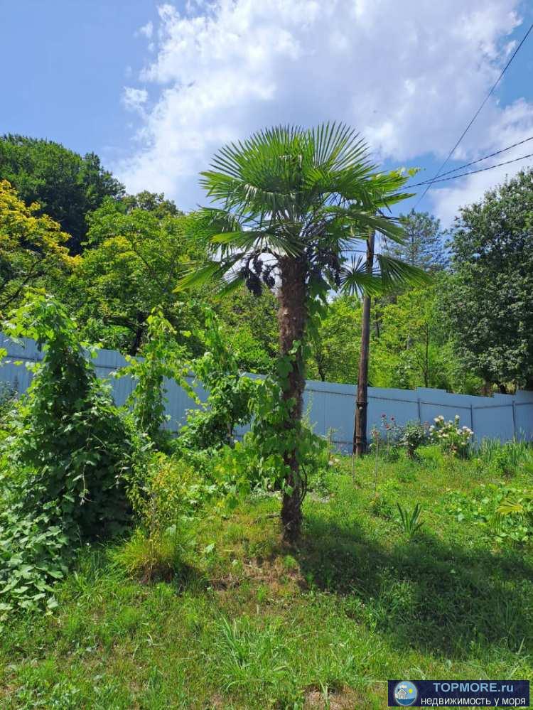 Лот № 178614. Продается уютный домик с 9 сотками земли + есть на участке недостроенный дом с проектом на 80 кв Рядом... - 2