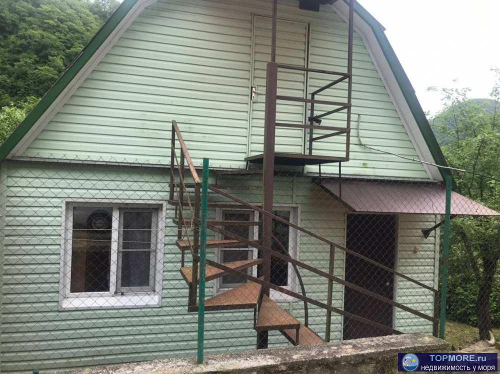 Лот № 177769. Продается дача в живописном месте. Она окружена со всех сторон многочисленной разновидностью деревьев и...