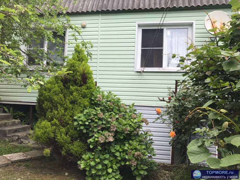 Лот № 177769. Продается дача в живописном месте. Она окружена со всех сторон многочисленной разновидностью деревьев и... - 1