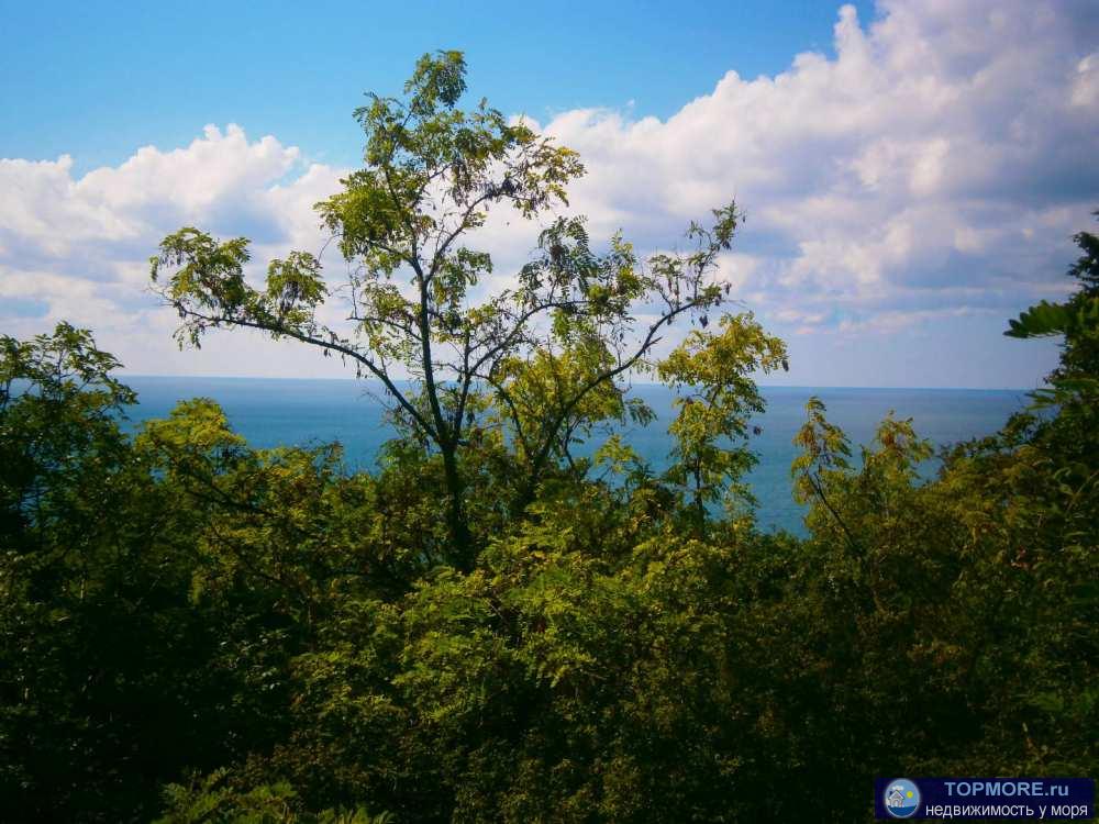 Лот № 173571. Продаётся дом на берегу моря в Аше с шикарным панорамным видом.Дом и земля 7,4 ижс в собственности, все...