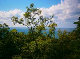 Лот № 173571. Продаётся дом на берегу моря в Аше с шикарным...